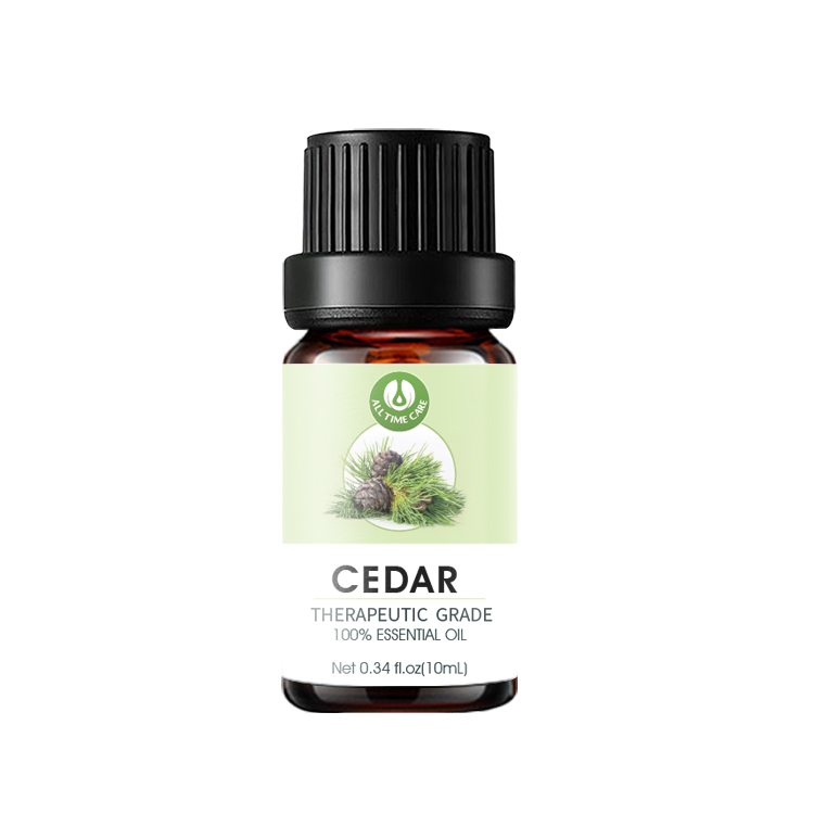 CEDAR 2