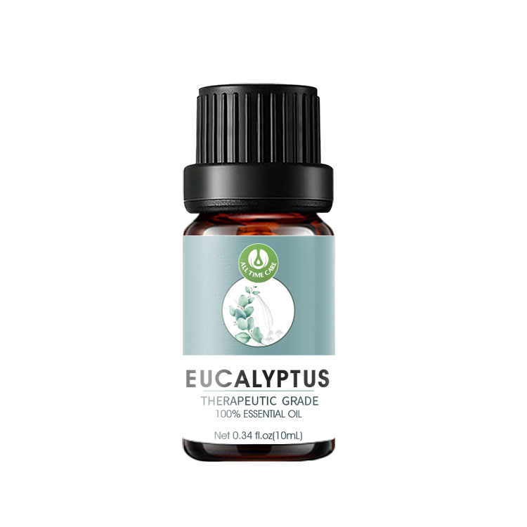Eucalyptus 2 1