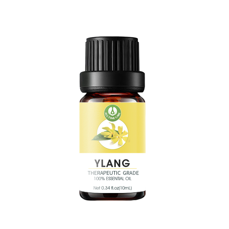 YLANG 2