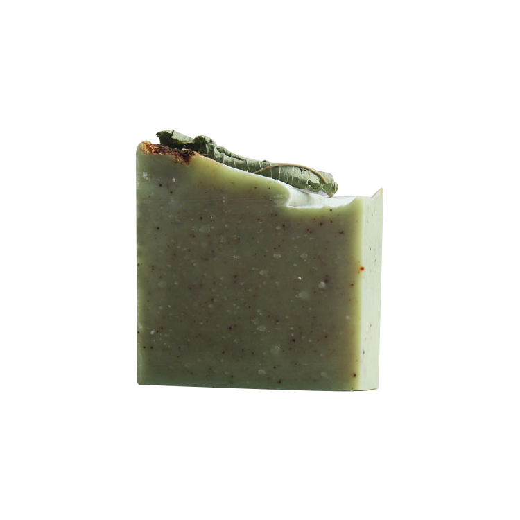 verbena soap company